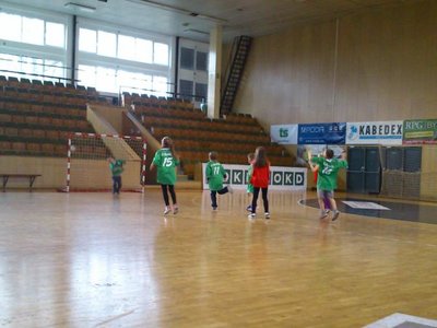 Obrázek 95433 