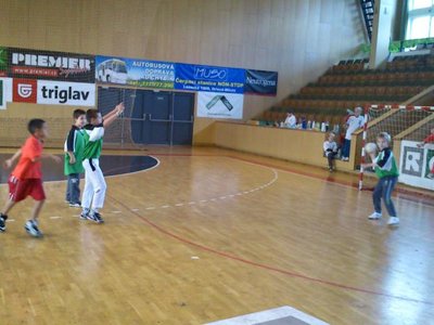 Obrázek 95444 