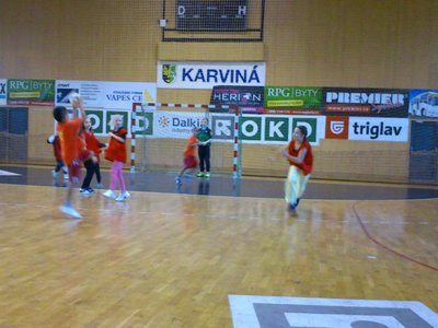 Obrázek 95445 