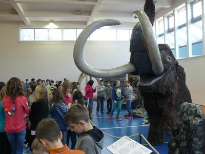Obrázek 93905 