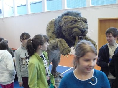 Obrázek 93907 