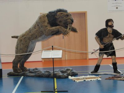 Obrázek 93878 