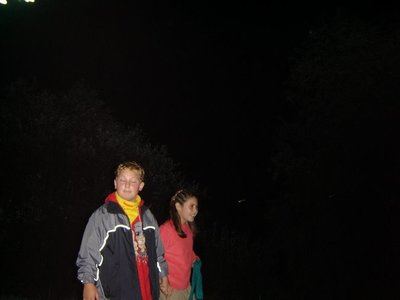 Obrázek 120458 