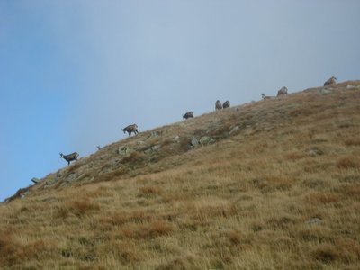Obrázek 120398 