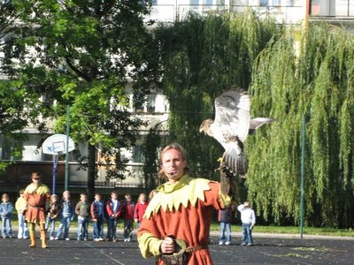 Obrázek 120377 