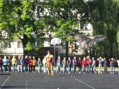 Obrázek 120378 