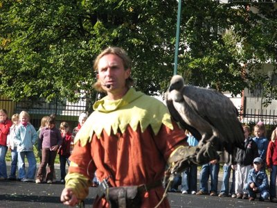 Obrázek 120380 