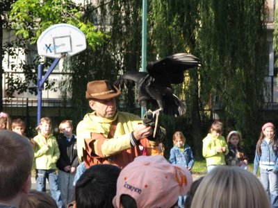 Obrázek 120381 