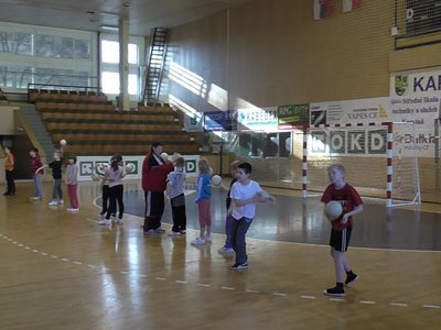 Obrázek 93079 