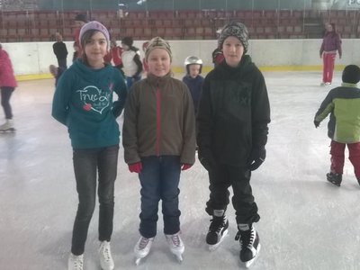 Obrázek 92493 
