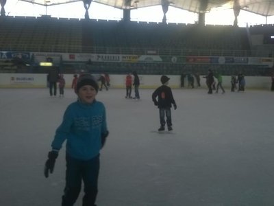 Obrázek 92499 