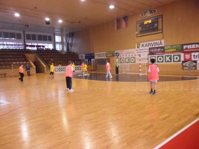 Obrázek 92263 