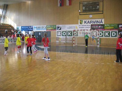 Miniházená