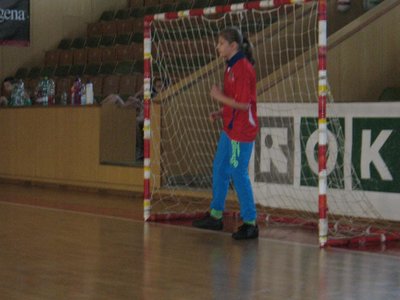 Obrázek 90702 