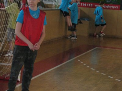 Obrázek 90725 