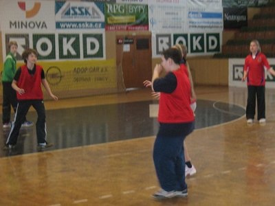 Obrázek 90726 