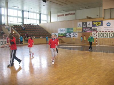 Obrázek 90728 