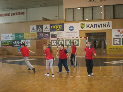Obrázek 90729 