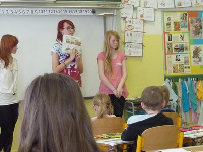 Obrázek 90566 