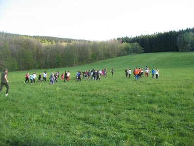 Obrázek 89513 