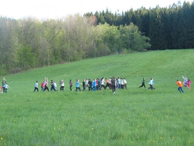Obrázek 89514 