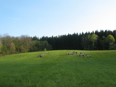 Obrázek 89519 