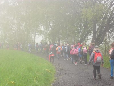Obrázek 89412 