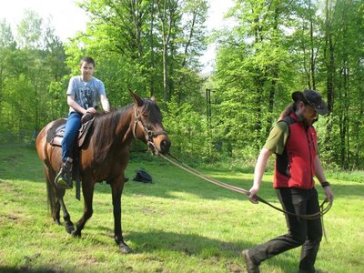 Obrázek 89302 