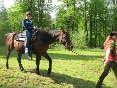 Obrázek 89314 