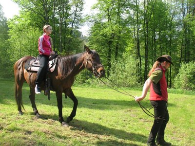 Obrázek 89320 