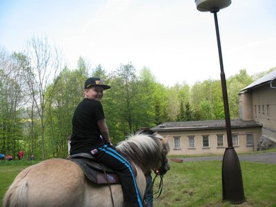 Obrázek 89329 