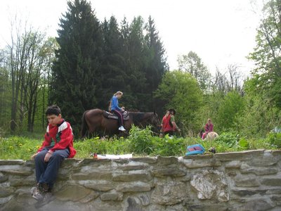 Obrázek 89342 