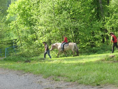 Obrázek 89375 