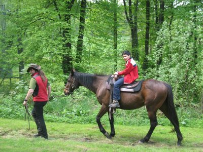 Obrázek 89381 