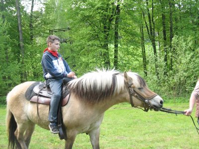 Obrázek 89383 