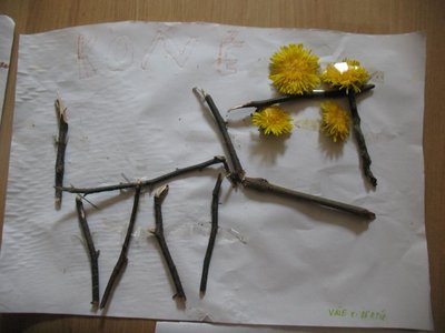 Obrázek 89387 