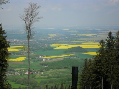Obrázek 89113 