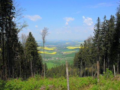 Obrázek 89114 