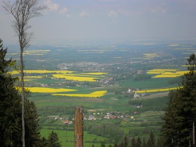 Obrázek 89117 