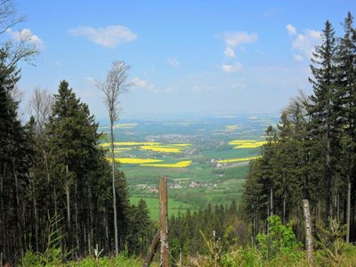Obrázek 89118 