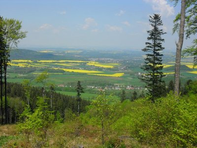 Obrázek 89122 