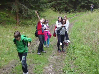 Obrázek 88392 