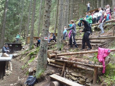Obrázek 88403 