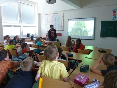 Obrázek 86895 