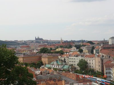 Obrázek 87037 