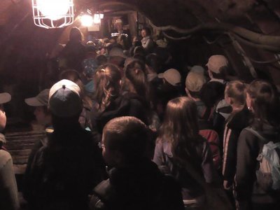 Obrázek 86519 
