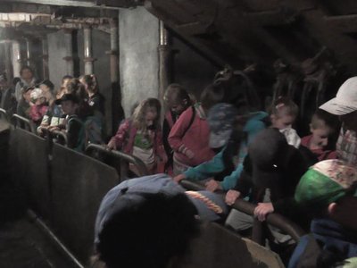 Obrázek 86530 