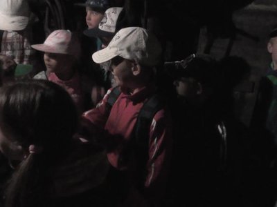 Obrázek 86531 
