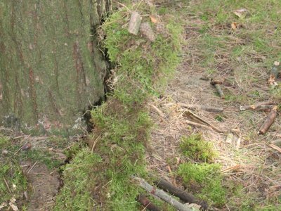Obrázek 85719 