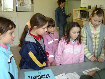 Obrázek 120040 